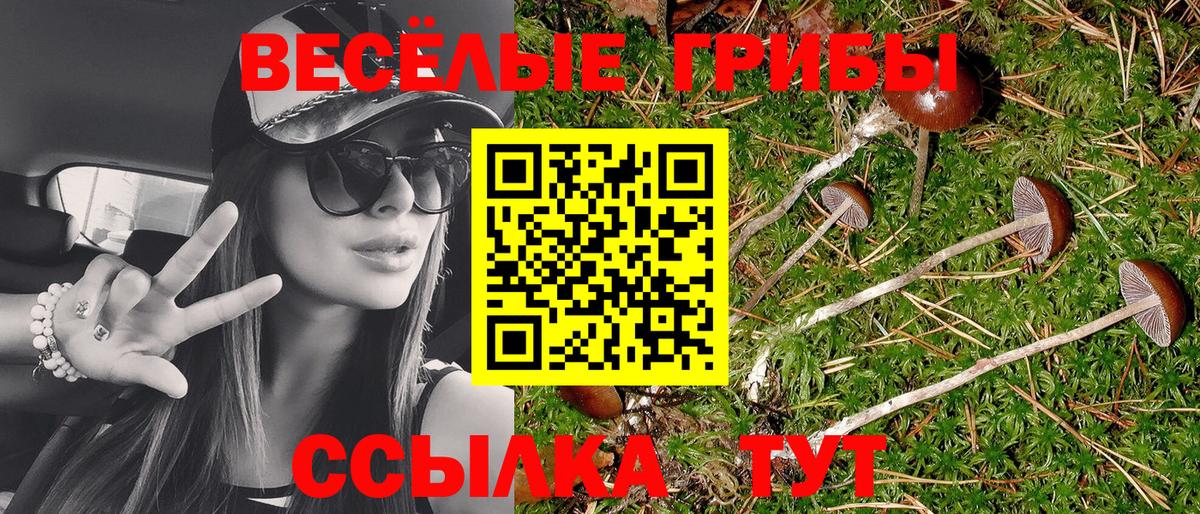 Псилоцибиновые грибы мицелий Абинск
