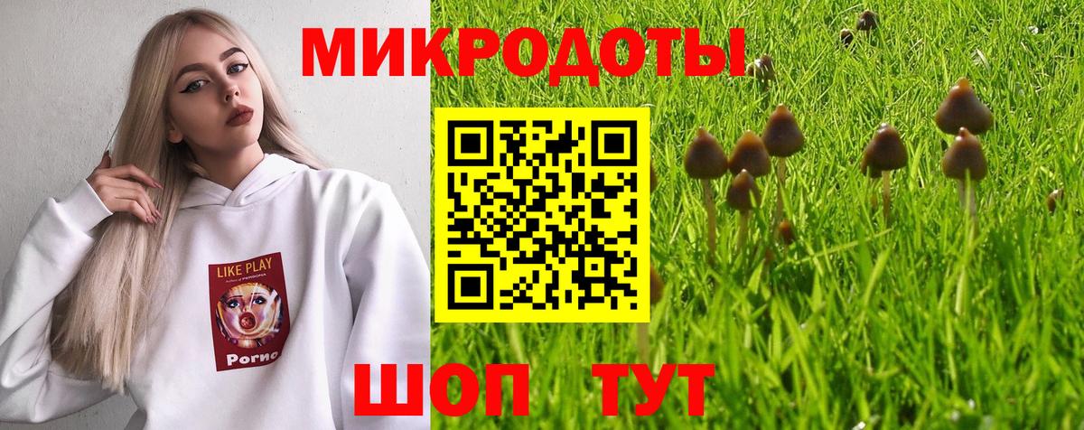 Псилоцибиновые грибы Cubensis  Вход с VPN  Абинск  Галлюциногенные грибы мицелий 